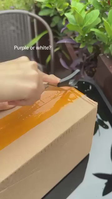 Gengar Tongue Out Collectible Figure